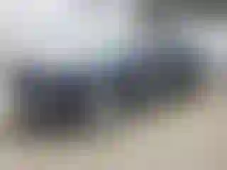 Vehicle Image- 2024 Honda Accord