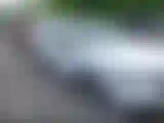 Vehicle Image- 2023 Honda Accord