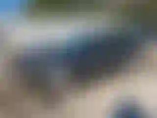 Vehicle Image- 2024 Honda Accord