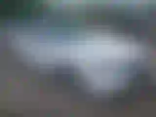Vehicle Image- 2024 Honda Accord