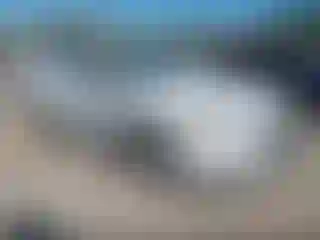 Vehicle Image- 2024 Honda Accord