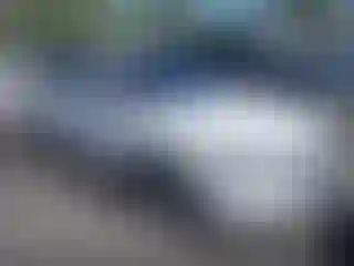 Vehicle Image- 2025 Honda Accord