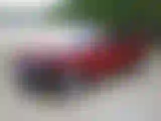 Vehicle Image- 2025 Honda Accord