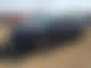 Vehicle Image- 2025 Honda Accord