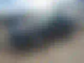 Vehicle Image- 2024 Honda Accord