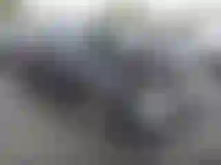 Vehicle Image- 2024 Honda Accord