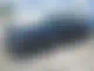 Vehicle Image- 2024 Honda Accord