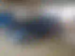 Vehicle Image- 2023 Honda Accord