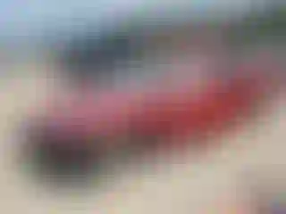 Vehicle Image- 2023 Honda Accord