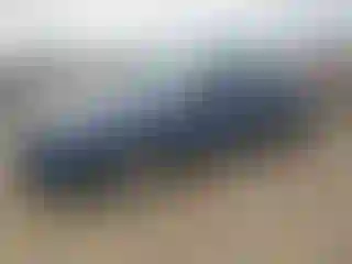 Vehicle Image- 2024 Honda Accord
