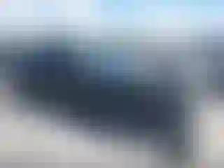 Vehicle Image- 2024 Honda Accord