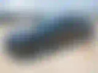 Vehicle Image- 2024 Honda Accord