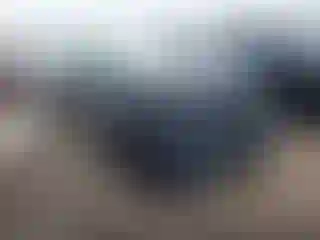 Vehicle Image- 2024 Honda Accord