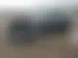 Vehicle Image- 2024 Honda Accord