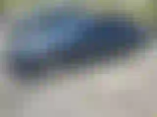 Vehicle Image- 2024 Honda Accord