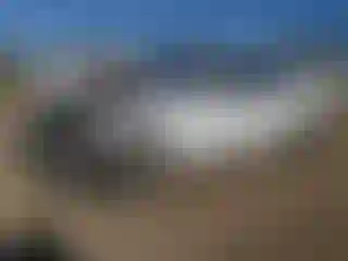 Vehicle Image- 2024 Honda Accord