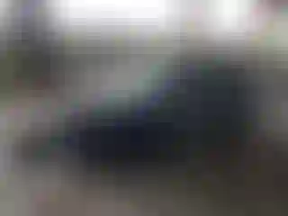 Vehicle Image- 2025 Honda Accord