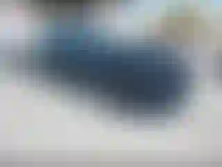 Vehicle Image- 2024 Honda Accord