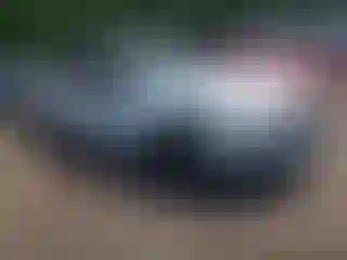 Vehicle Image- 2024 Honda Accord