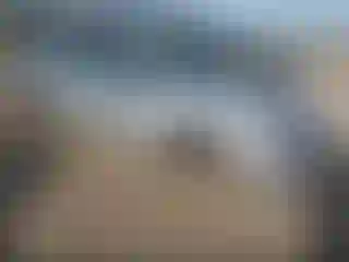 Vehicle Image- 2024 Honda Accord