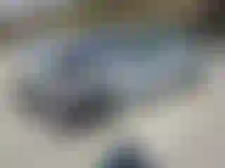 Vehicle Image- 2025 Honda Accord