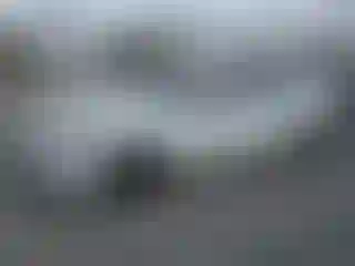 Vehicle Image- 2023 Honda Accord