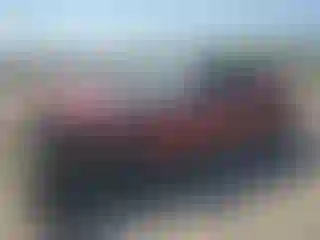 Vehicle Image- 2025 Honda Accord
