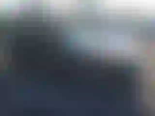 Vehicle Image- 2025 Honda Accord