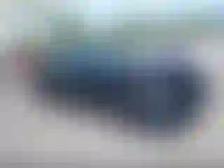 Vehicle Image- 2024 Honda Accord