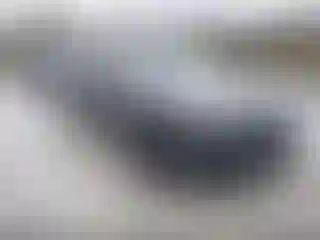Vehicle Image- 2024 Honda Accord