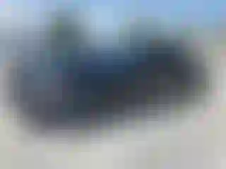 Vehicle Image- 2024 Honda Accord