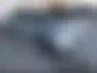 Vehicle Image- 2024 Honda Accord