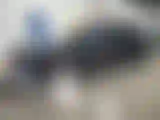 Vehicle Image- 2025 Honda Accord