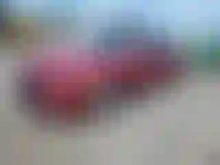 Vehicle Image- 2024 Honda Accord