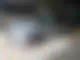 Vehicle Image- 2025 Honda Accord