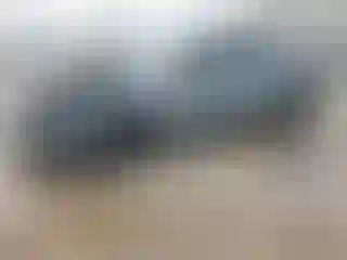 Vehicle Image- 2024 Honda Accord