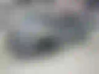 Vehicle Image- 2024 Honda Accord
