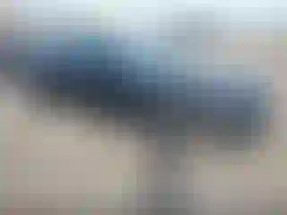 Vehicle Image- 2025 Honda Accord