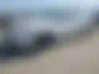 Vehicle Image- 2025 Honda Accord