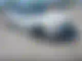 Vehicle Image- 2023 Honda Accord