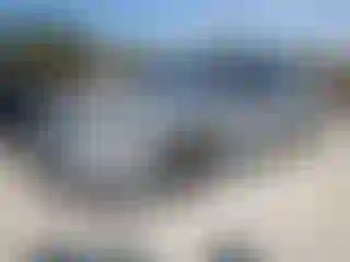 Vehicle Image- 2024 Honda Accord