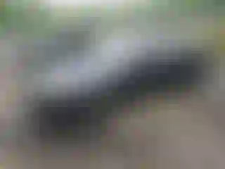 Vehicle Image- 2024 Honda Accord