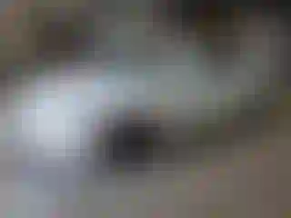 Vehicle Image- 2023 Honda Accord