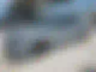 Vehicle Image- 2024 Honda Accord