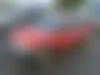 Vehicle Image- 1990 Honda Civic