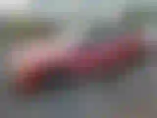 Vehicle Image- 1990 Honda Civic