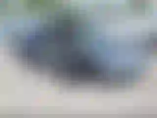 Vehicle Image- 1995 Honda Civic