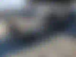 Vehicle Image- 2000 Honda Civic