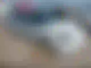 Vehicle Image- 1996 Honda Civic