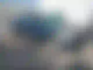 Vehicle Image- 1998 Honda Civic